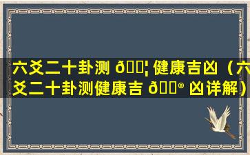 六爻二十卦测 🐦 健康吉凶（六爻二十卦测健康吉 💮 凶详解）